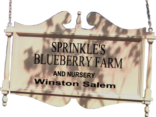 Sprinkle's Blueberry Farm and Nursery